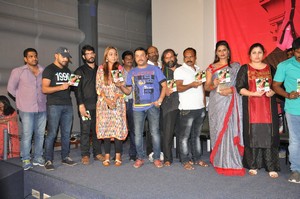 Veediki Dookudekkuva Audio Launch